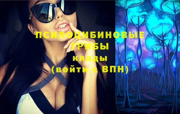 винт Пестово
