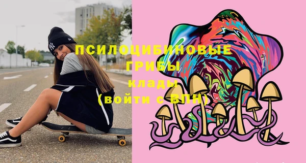бутират Осинники