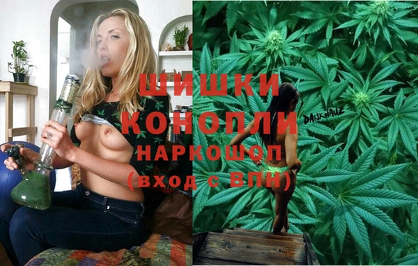 винт Пестово