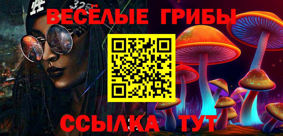 Псилоцибиновые грибы Psilocybe Сатка